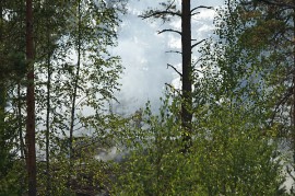 Maastoa paloi noin puolen hehtaarin alueelta. Kuva: Simo Päivärinta