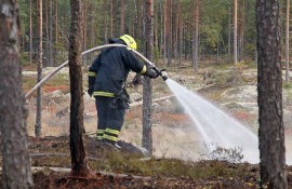 Tervaskannonmäessä paloi parikymmentä neliötä maastoa. Kuva: Simo Päivärinta