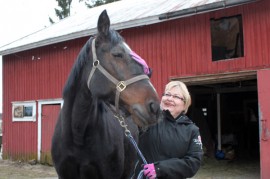 Tarja Puotsaari viettää vapaa-aikaansa mieluiten hevosensa, 12-vuotiaan tamma Harley’s Cometin kanssa. 