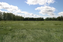 Auranmaalaisten mielipiteitä kotiseudustaan kartoitetaan kyselyllä. Ainakin maisemat ovat komeita.