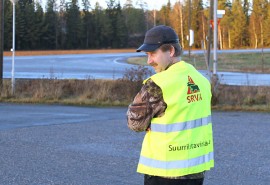 Metsästäjät sonnustautuvat tällaisiin huomioliiveihin karkottaessaan susia kyliltä. SRVA-liiviä esittelee pöytyäläinen petoyhdyshenkilö Hannu Aalto.