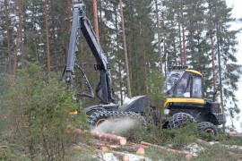 Tammikuu pakkasineen on suosinut puunkorjuuta. Kalle Ali-Raatikainen teki hakkuutöitä keskiviikkona Westaksen leimikolla Marttilan Ruskolaisissa.