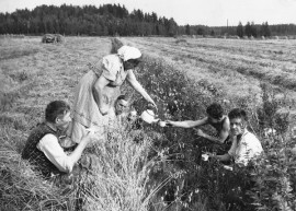 Kuvan kahvihetki on ikuistettu Liedossa vuonna 1960. Kuva: Juha Vuorelan arkisto