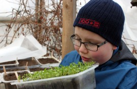 Aaron Rönnemaa odottaa jo satokautta. Innokaan nuoren viljelijän mielestä viljelypuuhissa hauskinta on sadon kypsyminen. Kylvöistä vasta lehtikaali vihertää.