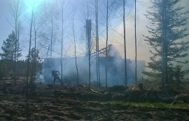 Tulipalo levisi myös noin puolen hehtaarin alueelle maastoon. Kuva: Simo Päivärinta