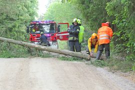 Tarvasjoen VPK kävi kaatamassa tuulenpuuskien riepotteleman puun ennen kuin vahinkoja ennätti tapahtua. Kuva: Pentti Mäkitalo.