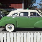 checker-500.jpg