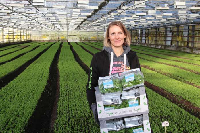 Hanna Helenius ja Piltin puutarhat tekevät kiinteää yhteistyötä koskelaisen Harjutarhojen kanssa vuonankaalin kasvatuksessa.
