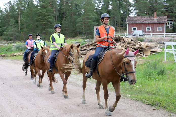Ratsastuksenopettaja Reetta Korpi johdattaa ratsukot maastotunnin jälkeen takaisin tallille. Opettajan takana Mari Rantapere, Katja Klemetsö ja Sanna Rantapere sekä upeat suomenhevostammat. Rauhallisen menon lisäksi maastossa myös ravattiin.(Kuva: Susanna Pietilä)