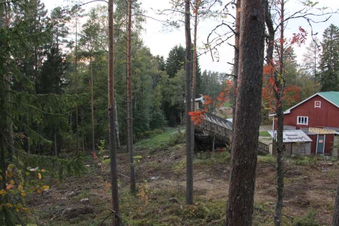 Tarvasjoen koulukeskuksen ja jäähallin väliselle alueelle valmisteltava kaava pitää sisällään myös Vuorilinnan ja urheilukentän, joiden maastossa on luontoselvityksessä vuonna 2014 tehty liito-oravahavaintoja. Kesän aikana alueella tehdyt puuston harvennushakkuut ulottuvat Tarvashovilta Vuorilinnalle.