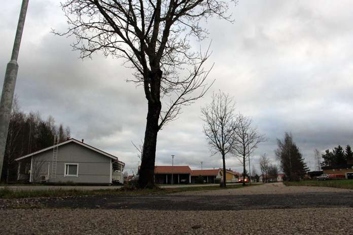 Sillankorvantien vaahteroiden juuret aihettavat ongelmia asvaltille ja alueen putkistoille. Vaahterat kaadetaan ja niiden tilalle istutetaan pienempiä puita ja pensaita.