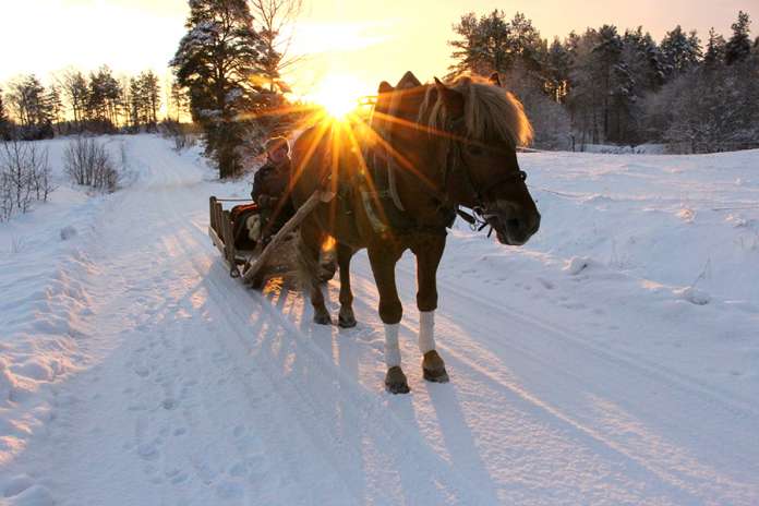 Kylämäen hevostilan Jämptiltä rekiajelut sujuvat tottuneesti ja turvallisesti, vaikka rekikelejä onkin viime talvina ollut harvakseltaan. Jämpti ja Juha Kylämäki ovat tarjonneet rekiajelun iloa niin lapsille kuin vanhuksille.