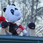 KoskiAbit04panda / Simo Päivärinta