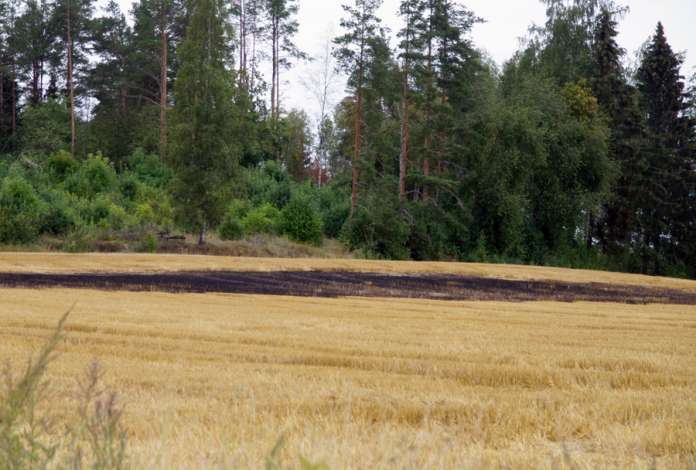 Palamaan syttyneestä autosta tuli levisi myös sänkipeltoon Tarvasjoella lauantaina. Kuva: Simo Päivärinta.