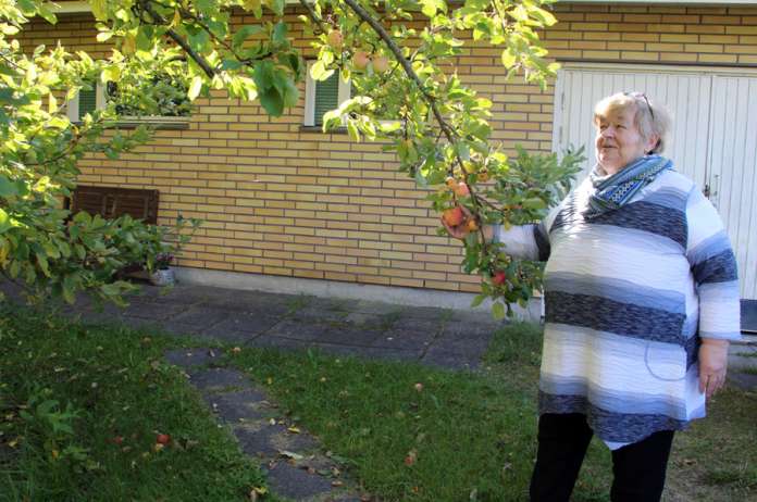 Pirjo Leino aikoo eläköidyttyään muun muassa nauttia luonnosta. Kotipihan omenasato oli tänä vuonna erinomainen. (Kuva: Asko Virtanen)