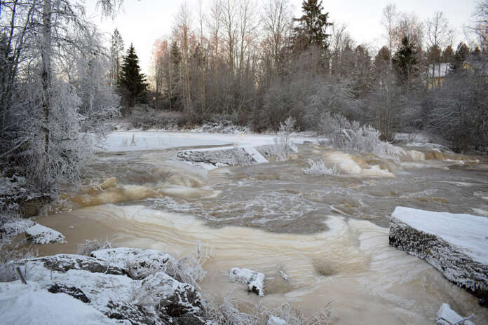 Talvinen maisema toimii joulupolun kokoaikaisena sivuohjelmanumerona, jossa lumihuurteiset puut ja höyryävän jäinen koski näyttelevät pääosia. Kuva: Tuomas Honkasalo