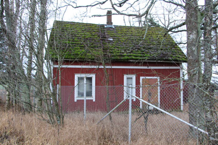 NETTIkhronos 2021