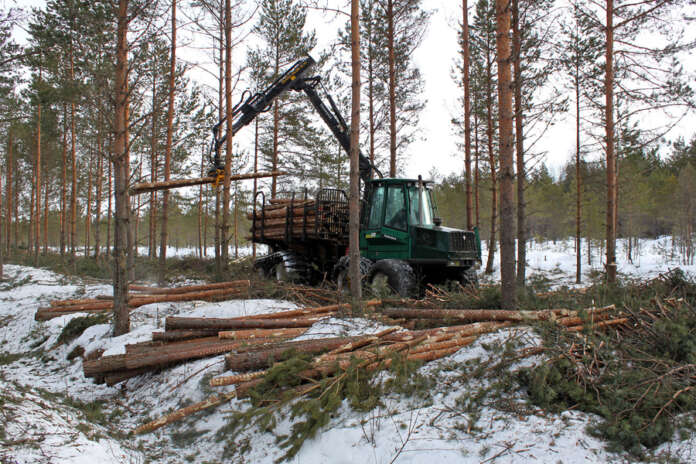 Puun kysyntä tullee kasvasmaan, mutta ilmasas on myös epävarmuuksia. (Kuva: AVL arkisto/Jorma Kaarto)
