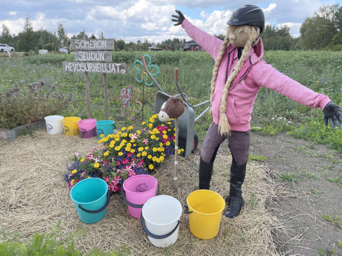 Koskella kukkii myös tänä kesänä. Viime vuonna Kuis kukkii -palstoista valittiin parhaaksi Someron seudun hevosharrastajien palsta. (Kuva: AVL arkisto/Tuomas Honkasalo)