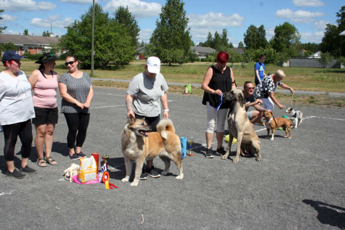Show on ohitse ja parhaat palkittu.1. Amerikanakita Luumu / Niina Klemelä. 2. Tanskandoggi Aida / Hanna Sulantaus-Eskola. 3. Staffi Einari / Juha Silvennoinen. 4. Sheltti Rassu / Kaisa Niemeläinen. Kuvassa myös tuomaristo Tiina Kiviniitty, Satu Savolainen sekä Hanna Nyman.