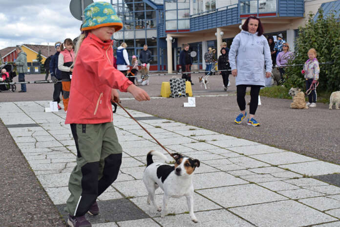 Heidi Leyser-Kopra seurasi, kuinka Ella Elo, 7, talutti Nalle-koiraa kehän ympäri. Nalle oli saatu lainaksi näyttelyä varten. Kuva: Tuomas Honkasalo
