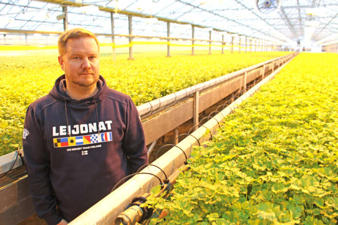 Tomi Levonen toteaa, että kauppapuutarhoilla on keskeinen rooli Suomen huoltovarmuuden ylläpitämisessä. Siksi niiden toimintaedellytysten turvaaminen on tärkeää.