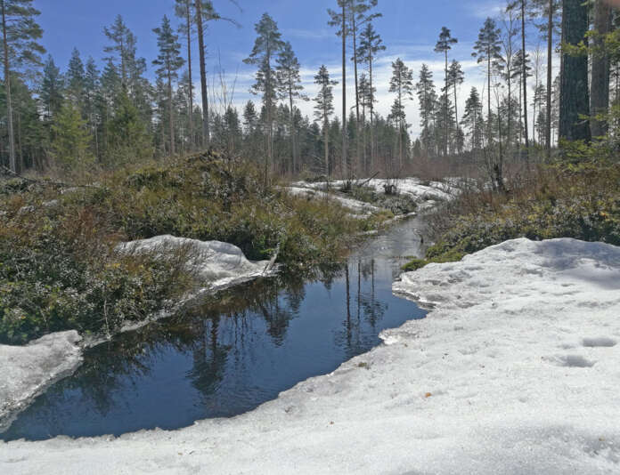 Wild Things Finland ja Oripään kunta ovat luottavaisia, että paikkakunnan puhtaalle pohjavedelle on kysyntää ulkomailla.