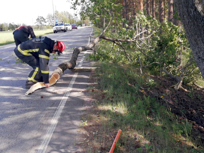 Puuskittainen tuuli aiheutti Tarvasjoen VPK:lle risu- ja oksahommia Hämeen Härkätiellä maanantai-iltapäivällä. Kuva: Simo Päivärinta.