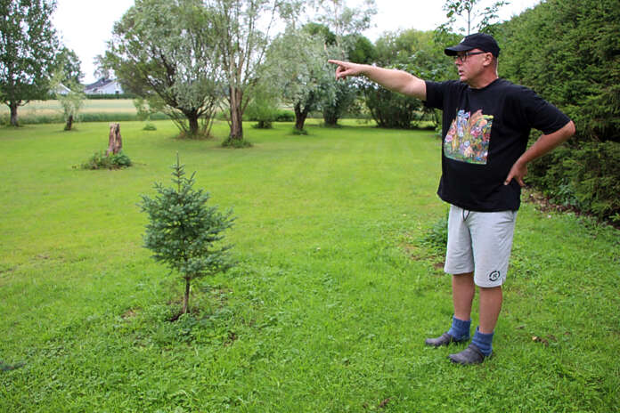 Veli-Matti Rokka toivoo arboretuminsa innostavan ihmisiä perehtymään kaveihin ja hoitamaan puutarhoja. Hänen vierellään on Pohjois-Amerikan pohjoisosista kotoisin oleva mustakuusi, joka on Newfoundlandin provinssipuu.