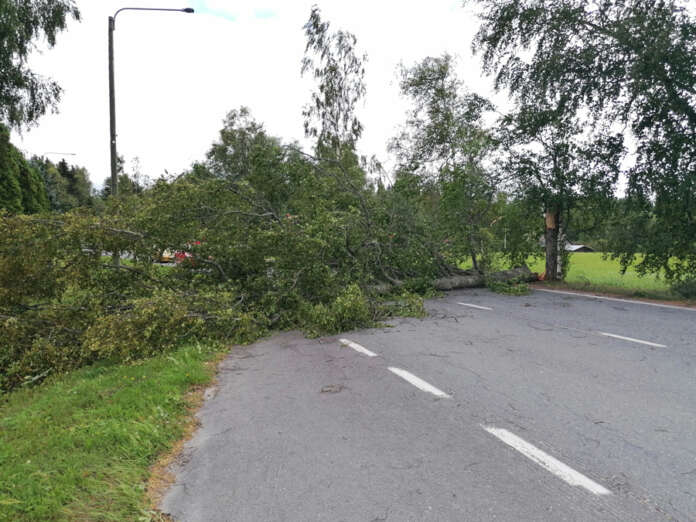 Sylvia-myrsky on jo aiheuttanut runsaasti vahingontorjuntatehtäviä. Koskella tuuli riepotteli puun poikki Hämeentiellä. Kuva: Simo Päivärinta.
