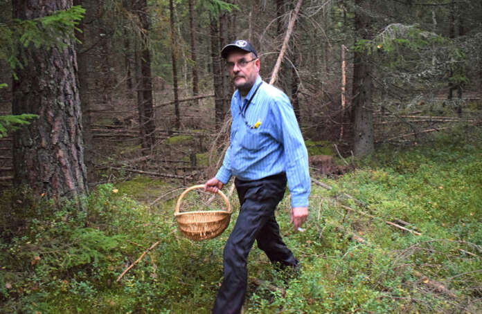 Kimmo Lehtinen nauttii sienestyksestä, vaikka ei itse sieniä syökään. Sienimetsällä on parasta käydä yksin, sillä silloin saa edetä omaa tahtia ja talloa omia polkuja. Kuva: Tuomas Honkasalo
