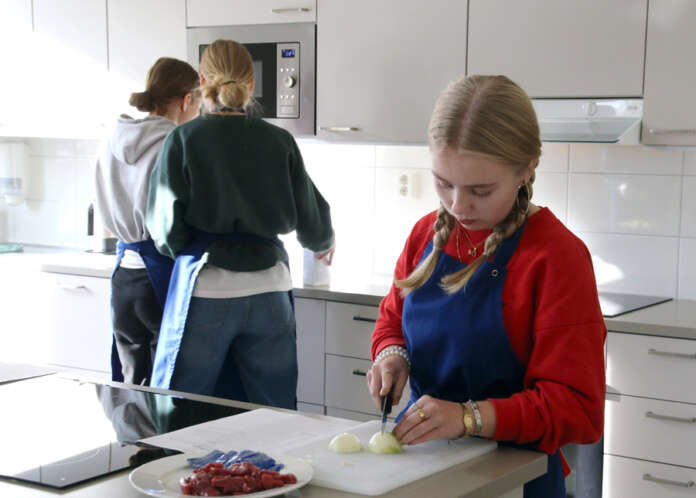 Kouluterveyskyselyn mukaan nuorten kouluinnostus on vähäistä. Ella Kataja kertoo viihtyvänsä koulussa vaihtelevasti. Kouluinnostusta laskee hänen mukaansa paineet ja stressi.