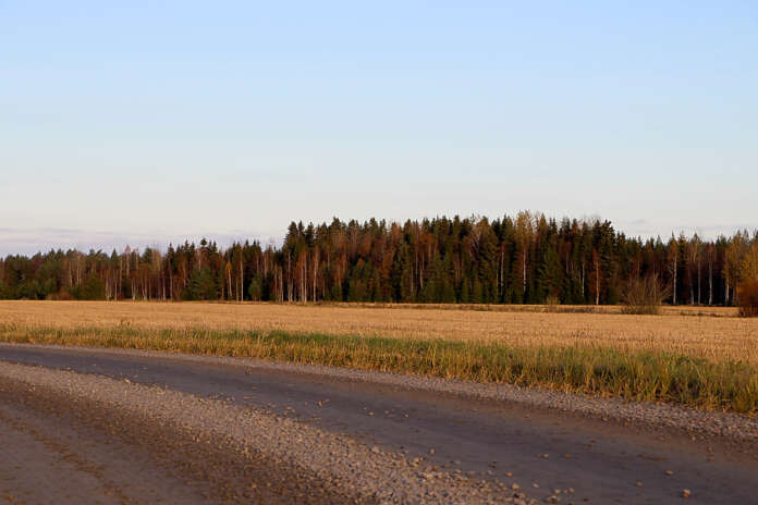 Haverinsuon aurinkovoimala on tarkoitus rakentaa Kurkivaarantien pohjois- ja koillispuolella oleville pelloille, Oripään ja Pöytyän rajan tuntumaan.