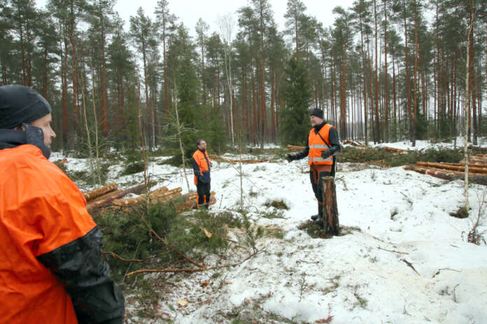 Tatu Viitasaari (keskellä) esitteli pienaukkoa Oripään kunnan metsässä, jossa toteutetaan jatkuvaa kasvatusta. Tilaisuus järjestettiin maaliskuussa osana Suomen metsäkeskuksen , Pyhäjärvi-instituutin ja Satakunnan ammattikorkeakoulun VesiKestävä-hanketta. Hankkeella haetaan metsätalouteen ympäristökestävyyttä vesienhallinnalla.