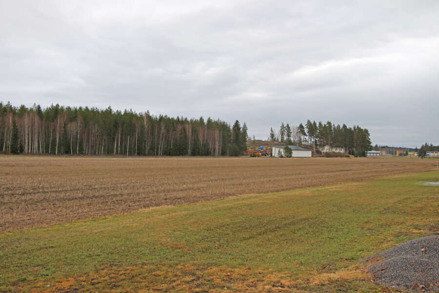 Biokaasulaitosta kaavaillaan taka-alalla näkyvän metsän taakse, mäen päälle. Naapureita mietityttää, miten ja mihin hulevedet virtaavat sieltä kovien sateiden aikaan.