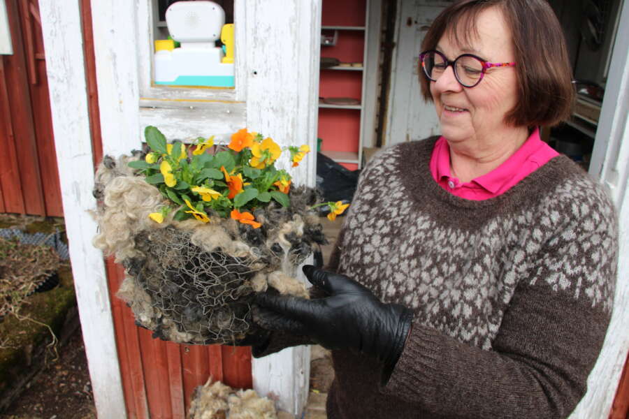 Anne Rintala esittelee kanaverkosta ja hukkavillasta tekemäänsä kukkaruukkua.