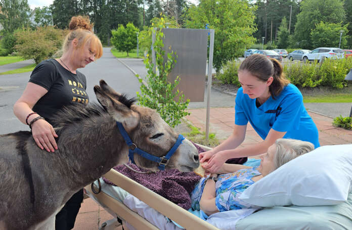 Tiina Nuortimo ja Darude saivat hellyttävät hymyt Irma Koskelta. Darude sai Koskelta ja hoitaja Suvi Pettiseltä myös leipää. Kuva: Marika Suuronen