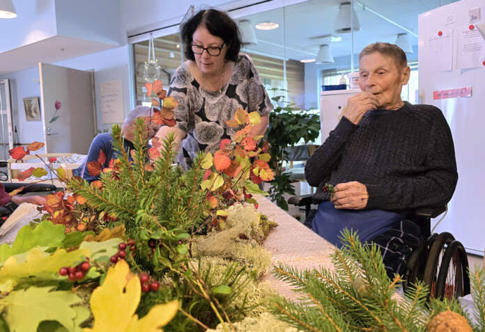 Tiina Rauhalan kootessa metsäistä taideteosta hyvinvointikeskuksen pöydälle innostui Erkki maistelemaan puolukoita. Kuva: Marika Suuronen