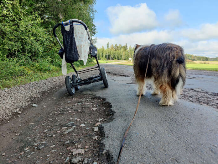 Viime vuonna Suomen surkein kylätie -kilpailun voitti kuva nimeltä ”Vauvakin saa maidon vaahdotettuna” Vihdin Laurintieltä. Tämän vuoden aikana Laurintie on laitettu kuntoon: tien pohjaa on parannettu ja se on uudelleen päällystetty asfaltilla.
