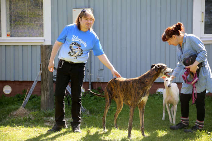 Juha Huhtala ja Siru Näntö-Huhtala sekä koirat Aleksei ja Aleli viihtyvät Koskella. Kotipiha on aidattu korkealla verkkoaidalla, jotta koirat saavat ulkoilla vapaasti, mutta turvallisesti. Koskelaispariskunta on antanut kodin useille kaltoin kohdelluille vinttikoirille.