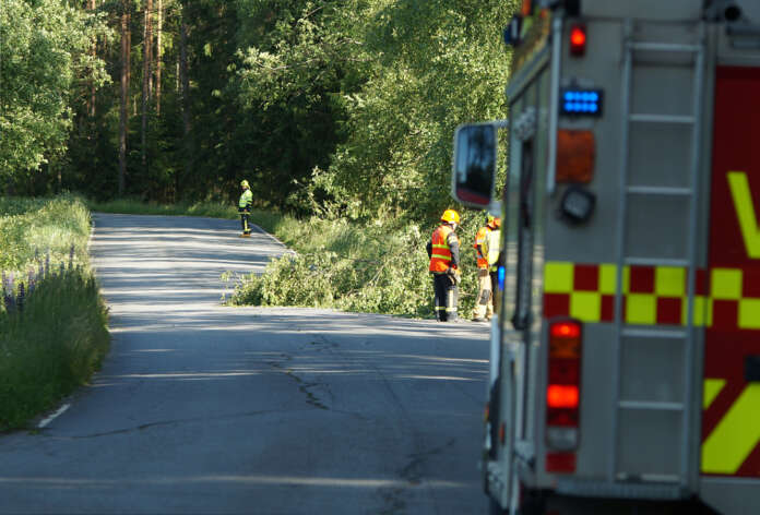 Puu kaatui Hämeentielle Koskella lähellä Vilukselan tienhaaraa sunnuntaina 29.6. kello 18 jälkeen. Kuva: Simo Päivärinta