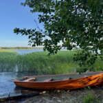 18MaisRuissalo2606JP