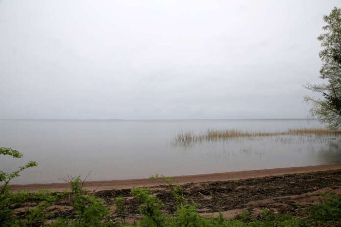 11058410_ Pyhäjärvellä on havaittu ajankohtaan nähden sinilevää keskimääräistä vähemmän. Tämä on paljolti seurausta alkukesän viileistä ja tuulisista säistä. Kelien lämmetessä sinilevätilanne voi silti muuttua nopeastikin.