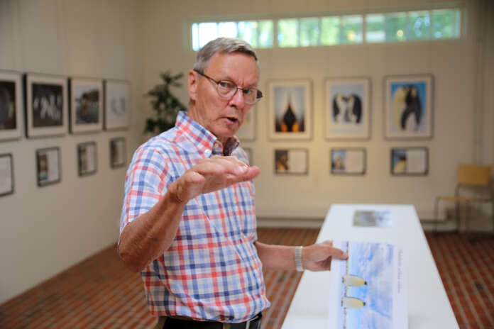 - Kuningaspingviini on nin korkea, Risto Raunio esittelee. Raunion ottamia pingviinikuvia on esillä Yrjö Liipolan taidemuseossa kesän ajan. Kohaus lauantaina Risto Raunio on itse paikalla esittelemässä kuvia ja kertomassa kuvausmatkoistaan.