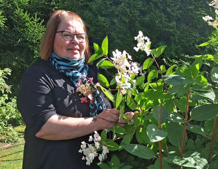 Kirsi Mäkinen nauttii pihansa kukkaloistosta ja kokoaa kimpun aina silloin tällöin koristamaan kotinsa sisätiloja. Innostuessaan häneltä onnistuu käden käänteessä myös kukkaseppeleet ja kranssit. Kuva: Emmi Lovén