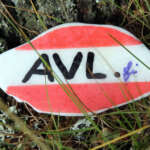 finstonesAVL